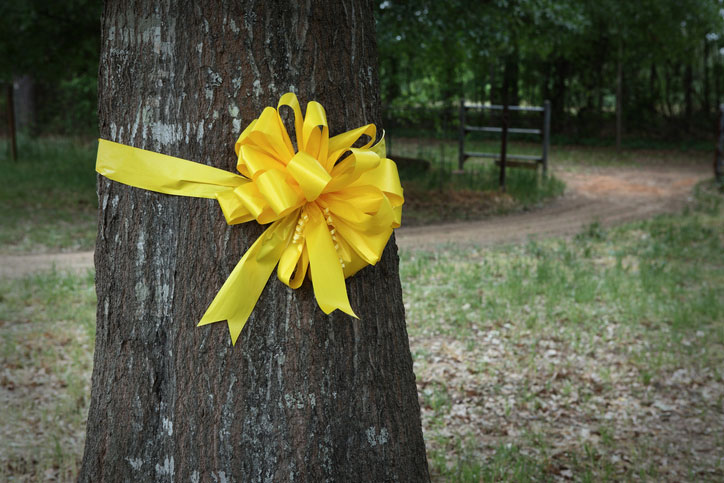 yellow ribbon on the tree